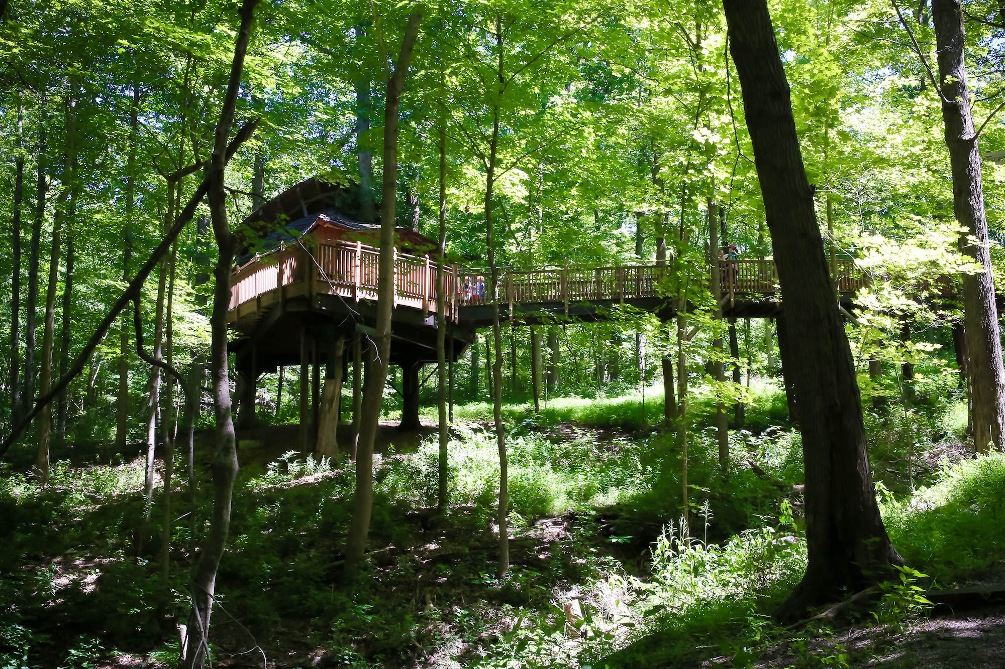 Mt.-Airy-Treehouse-9-small