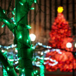 close up of lights – tree in background