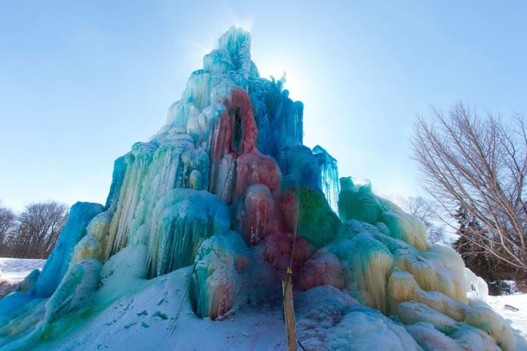 Worth-the-Drive: Veal’s Ice Tree