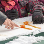 Maple taffy on snow at the sugar shack, in Montreal, Canada (2017)