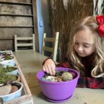 little fairy garden