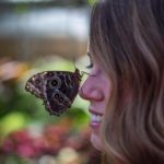 Butterfly Show at Krohn_@mapeters25