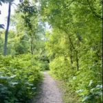Kelley Preserve