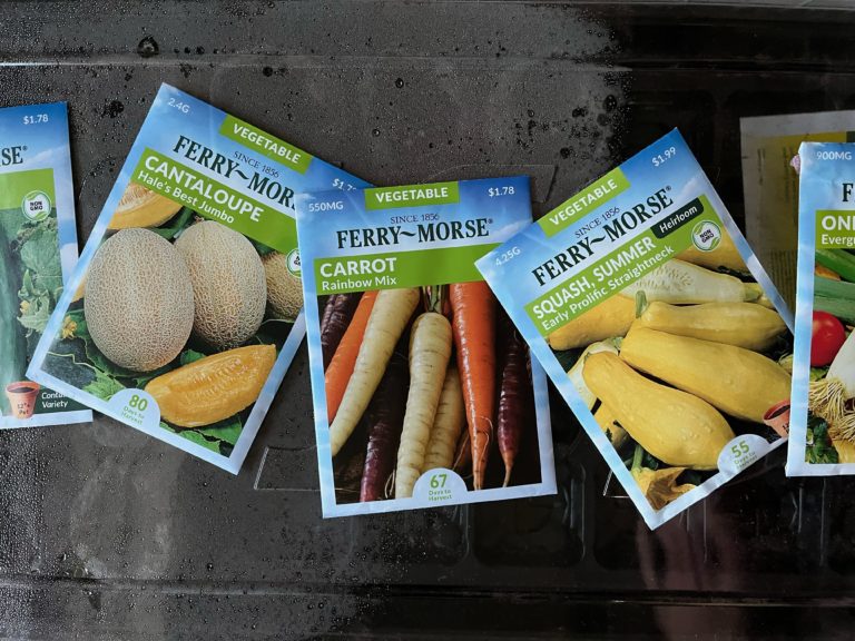 Gardening with Kids in March