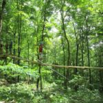 38405534_1983723178346027_2470487084402475008_n