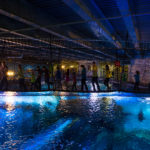 Shark Bridge at Newport Aquarium (1)