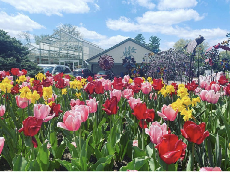 5 Great Garden Centers in Cincinnati