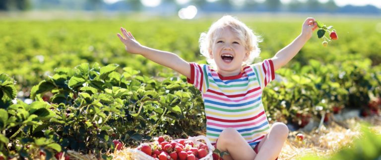 Guide to U-Pick Berries in Dayton A berry fun summer must