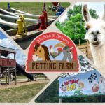 Play Yard and Petting Farm (1)