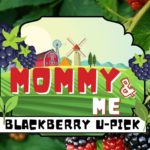 Blackberry Pick