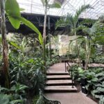 gaylord opryland