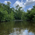 eastloveland2