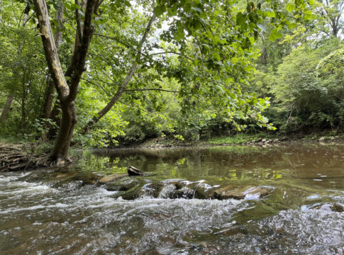 O' Bannon Creek