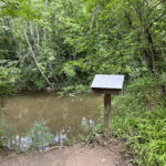 eastloveland6