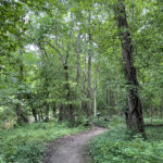 eastloveland8
