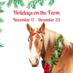 holidayonthefarm