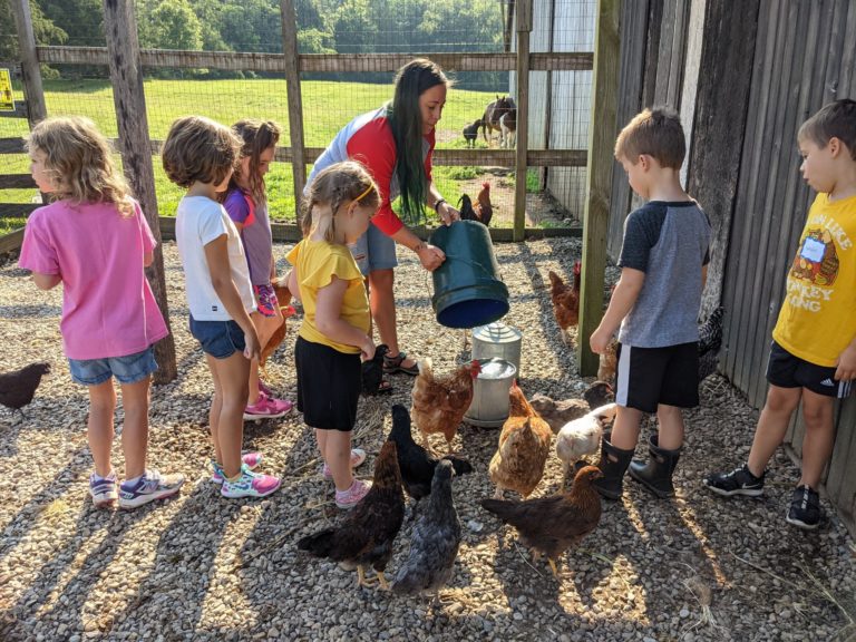 learning tree chickens