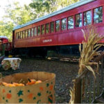 lmmr pumpkin patch express