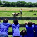 summerfarm