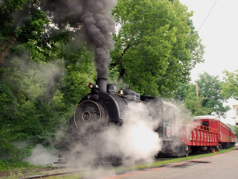 summer steam train