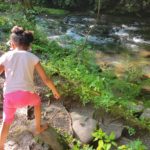 Homeschool Creek