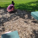 Homeschool Exploring
