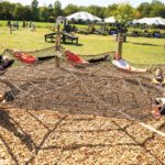 Kids-on-spider-web-1-1-scaled