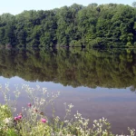 MWF-Oakleaf-Trail-thumb