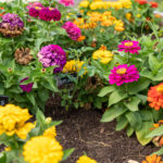 Urban Farming Festival