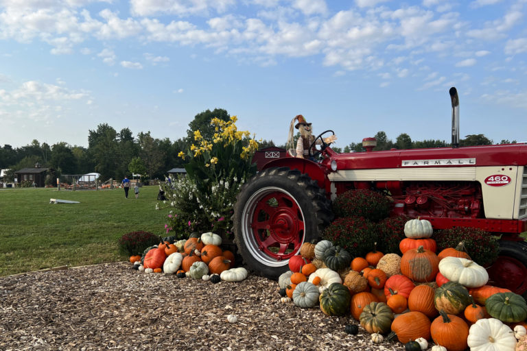 Fall on the Farm Red Tractor