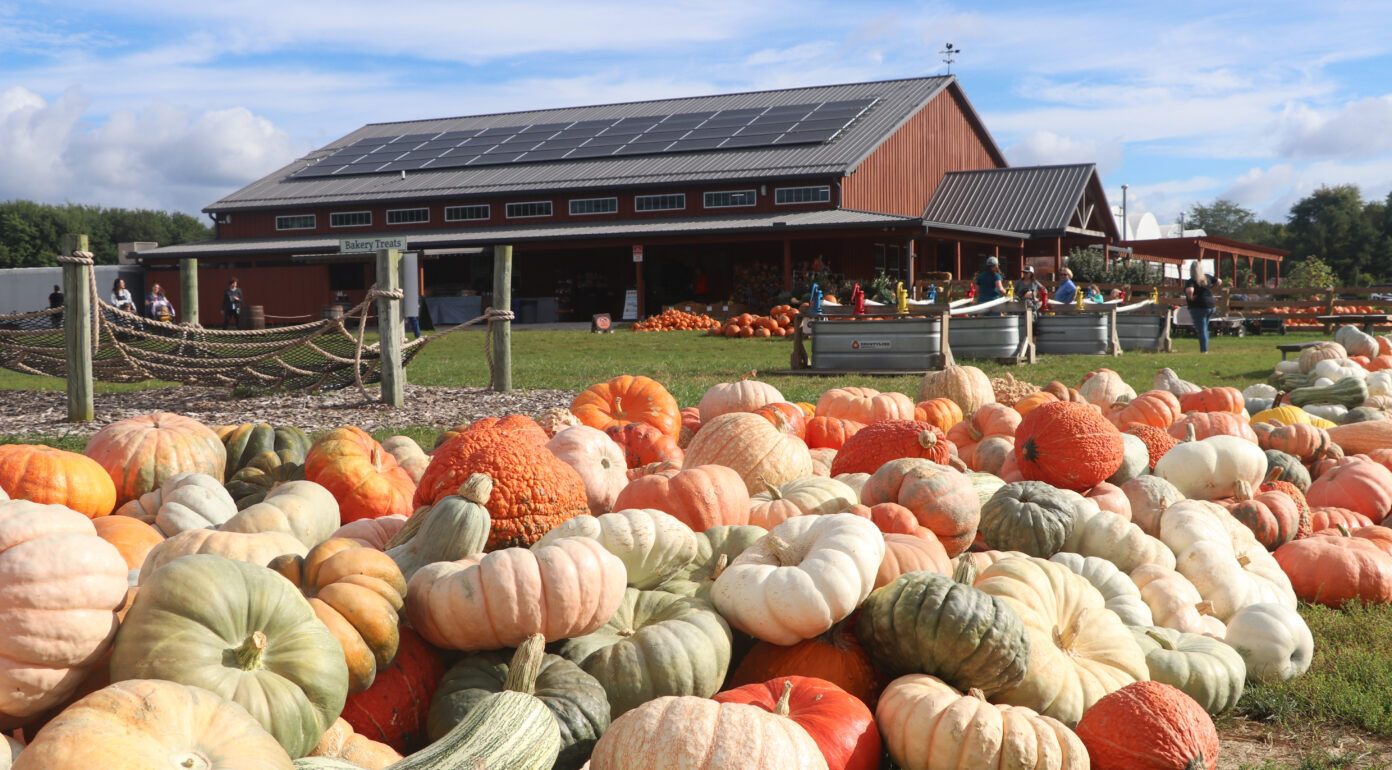 good image of pumpkins and market barn