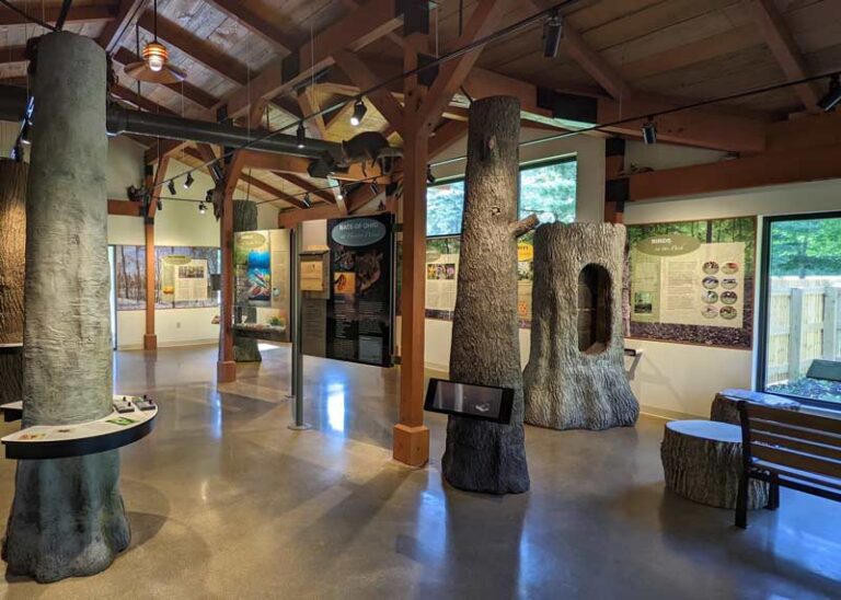 hueston woods nature center