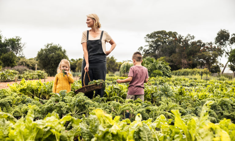Treat Yourself to Traditional Autumn Food and Games at the Harvest Jamboree