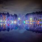 Woodland Lights Pond