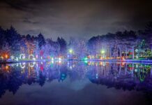 Win a Family Four Pack to Woodland Lights!