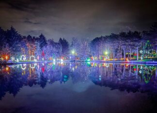 Win a Family Four Pack to Woodland Lights!