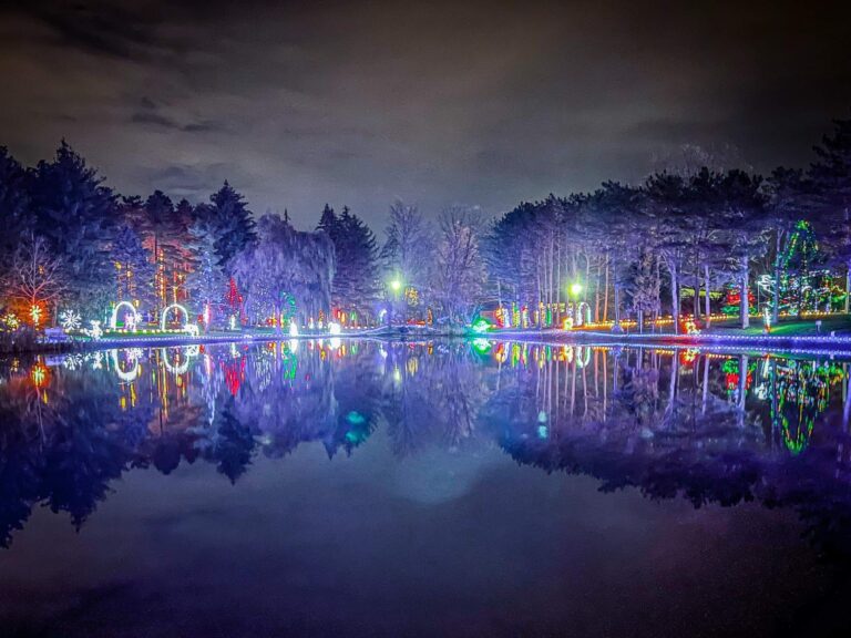 Win a Family Four Pack to Woodland Lights!