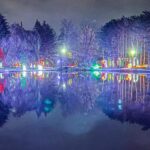 Woodland Lights Pond