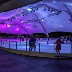 fiveriversmetroparkfunknight