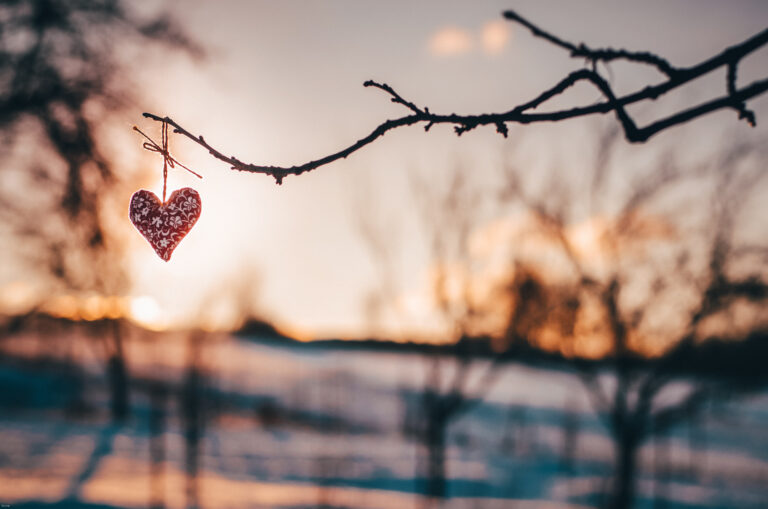 Feel the Love at a Great Parks Valentine Celebration!