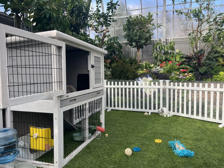 9 Places to take the Kids this Weekend in Southwest Ohio