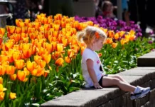 20 things to do in Cincinnati for Spring Break