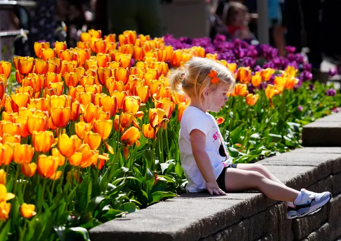 30b0bb9b-1aae-4647-a8bc-26979cf11772-ZooBloom15 30b0bb9b-1aae-4647-a8bc-26979cf11772-ZooBloom15