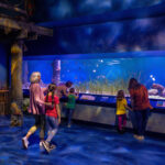New Hatchling Harbor Exhibit at Newport Aquarium – Immersive Environment (1)