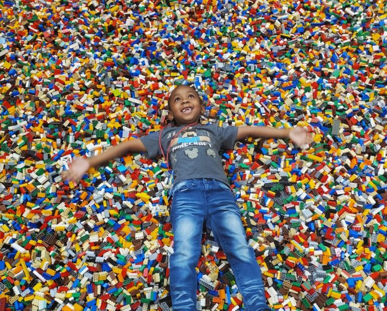 boy at brick fest