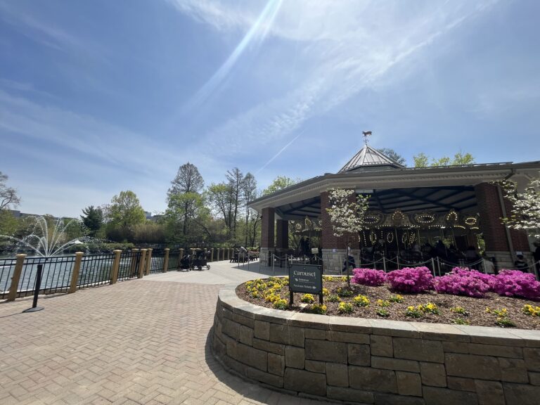 cincinnati zoo carousel at swan lake