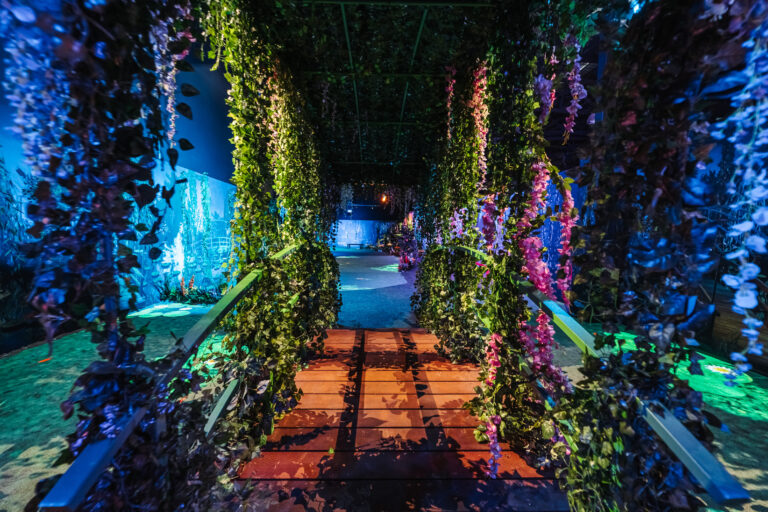 Claude Monet: The Immersive Experience coming to Cincinnati