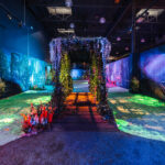 428310-Claude_Monet-33-9b5eb2-original-1651594931