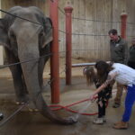 cincinnati zoo behind the scenes