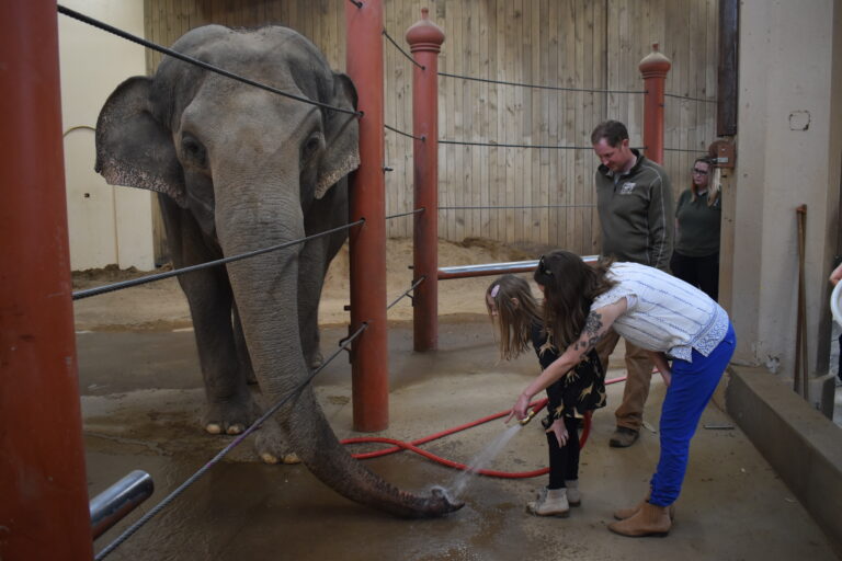 cincinnati zoo behind the scenes